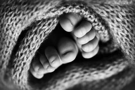 Photo of the legs of a newborn. Baby feet covered with wool isolated background. The tiny foot of a newborn in soft selective focus. Black and white image of the soles of the feet.の写真素材