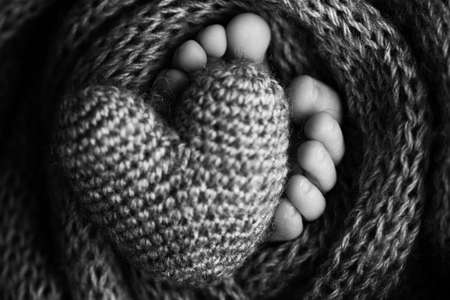 Feet of a newborn with a wooden heart, wrapped in a soft blanket. Black and white studio photography.の写真素材