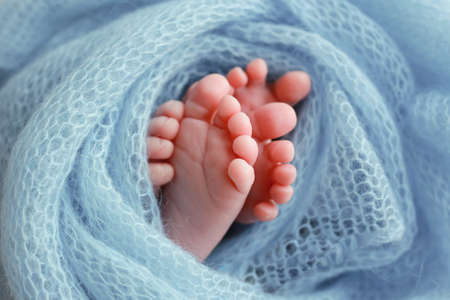 Two cute tiny baby feet wrapped in a blue-green aqua knitted blanketの写真素材