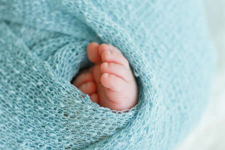 Two cute tiny baby feet wrapped in a blue-green aqua knitted blanketの写真素材