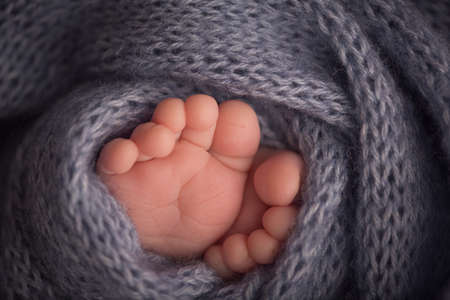 Two cute tiny legs, wrapped in a gray knitted blanket.の写真素材