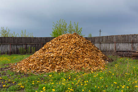 Texture. Woodworking waste. Heaps of chips, bark, pieces and sawdust.の写真素材