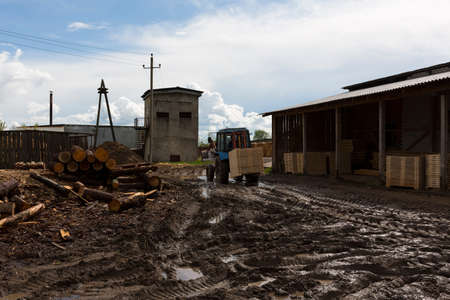 Texture. Woodworking waste. Heaps of chips, bark, pieces and sawdust.の写真素材