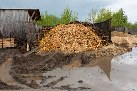 Texture. Woodworking waste. Heaps of chips, bark, pieces and sawdust.の写真素材