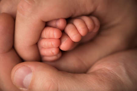 Childrens feet in hold hands of mother and father. Mother, father and Child. Happy Family people concept.の写真素材