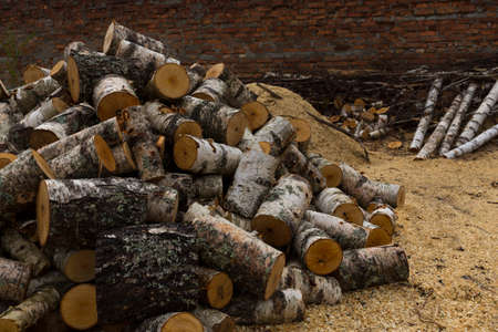 An axe, surrounded by many kinds of logs, resting on a chopping block.の写真素材