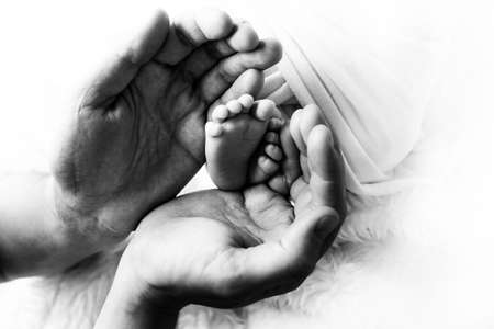 Feet of a newborn in the hands of a father, parent. Studio photography, black and white. Happy family concept.の写真素材