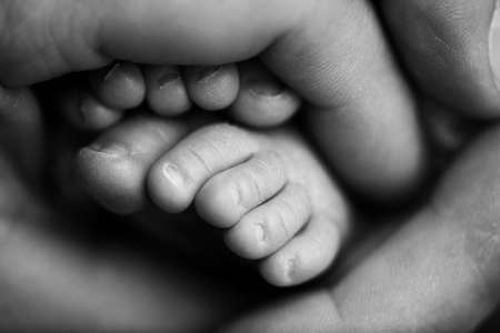 Tiny feet of a newborn child in the hands of a parent. One week old baby. The image of the first days of life. Concept image of happy family, motherhood and happy childhood.の写真素材