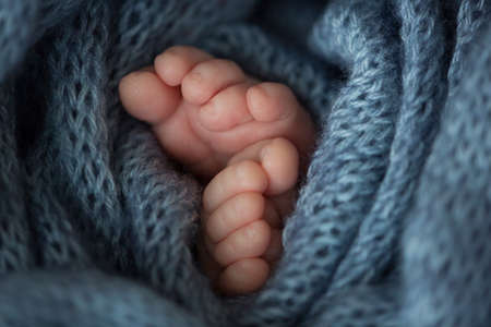 Two cute tiny baby feet wrapped in a blue-green aqua knitted blanket.の写真素材