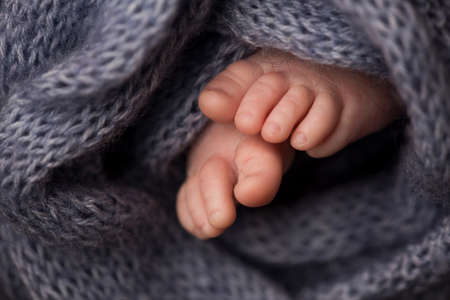 Two cute tiny baby feet wrapped in a blue-green aqua knitted blanket.の写真素材