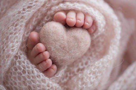 Two cute tiny baby feet wrapped in a pink knitted blanket. And a knitted heart made of woolen threads.の写真素材