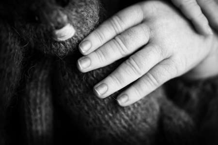 Childs hand, fingers close up. Newborn baby hands, happy childhood concept, healthcare, IVF, hygiene. Black and white photo.の写真素材