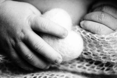 Childs hand, fingers close up. Newborn baby hands, happy childhood concept, healthcare, IVF, hygiene. Newborn holding a soft heart in his hands. Black and white photo.の写真素材