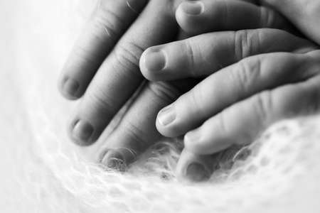 Childs hand, fingers close up. Newborn baby hands, happy childhood concept, healthcare, IVF, hygiene. Black and white photo.の写真素材