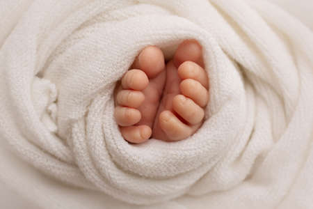 Photo of the legs of a newborn. Baby feet covered with wool isolated background. The tiny foot of a newborn in soft selective focus. Image of the soles of the feet.の写真素材