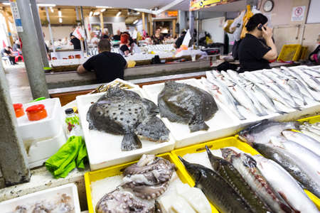 Fresh seafood market in Batumi Georgia. Live fish in ice. Flounder, red mullet, salmon, catfish,...