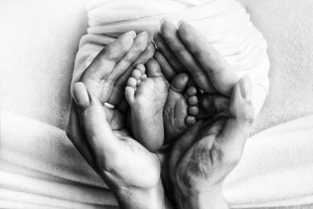 the legs of the child in the arms of our mother and father. feet of a newborn baby. little baby legs. black and white photoの写真素材