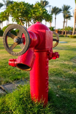 Close-up of a red fire hydrant on the lawn next to the sea. Beach and palm treesの写真素材