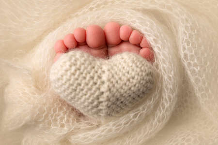 The feet of a newborn baby are wrapped in a knitted blanket. The fingers of a newborn baby are...