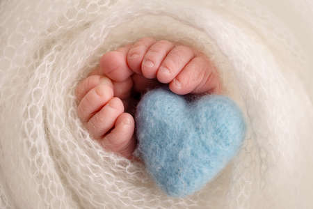 Legs, toes, feet and heels of a newborn. Wrapped in a white knitted blanket, wrapped. Macro...
