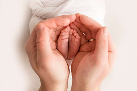 Legs, toes, feet and heels of a newborn. With the hands of parents, father, mother gently holds the childs legs. Macro photography, close-up.の写真素材