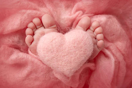 The tiny foot of a newborn baby. Soft feet of a new born in a pink blanket. Close up of toes, heels and feet of a newborn. Knitted pink heart in the legs of a baby. Studio macro photography.の写真素材