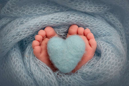 The tiny foot of a newborn baby. Soft feet of a new born in a blue blanket. Close up of toes, heels and feet of a newborn. Knitted blue heart in the legs of a baby. Studio macro photography.の写真素材
