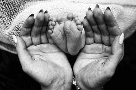 The palms of the father, the mother are holding the foot of the newborn baby. Feet of the newborn on the palms of the parents. Studio photography of a childs toes, heels and feet. Black and white.の写真素材