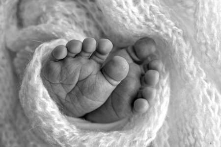 The tiny foot of a newborn. Soft feet of a newborn in a blanket. Close up of toes, heels and feet of a newborn baby. Studio Macro photography. Womans happiness. Photography, concept. Black and white.の写真素材