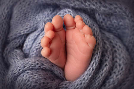 The tiny foot of a newborn. Soft feet of a newborn in a blue woolen blanket. Close up of toes, heels and feet of a newborn baby. Studio Macro photography. Womans happiness. Concept.の写真素材