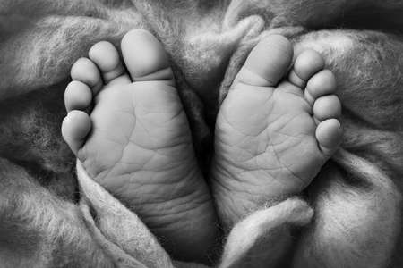 The tiny foot of a newborn. Soft feet of a newborn in a woolen blanket. Close up of toes, heels and feet of a newborn baby. Studio Macro photography. Black and white photo.の写真素材