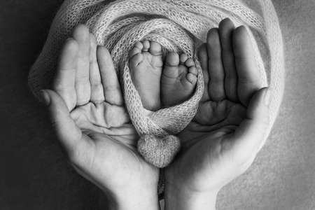 The palms of the father, the mother are holding the foot of the newborn baby. Feet of the newborn on the palms of the parents. Studio photography of a childs toes, heels and feet. Black white.の写真素材