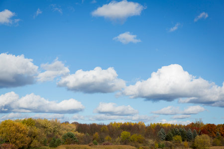 Autumn forest behind the lake. Sky with sun and white clouds. Red-green forest.の写真素材