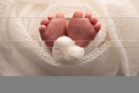 The tiny foot of a newborn baby. Soft feet of a new born in a white wool blanket. Close up of toes,...