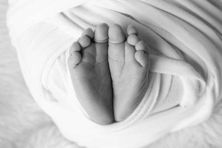 The tiny foot of a newborn. Soft feet of a newborn in a blanket. Close up of toes, heels and feet of...