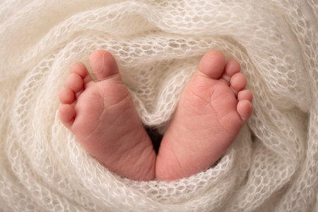 The tiny foot of a newborn. Soft feet of a newborn in a white woolen blanket. Close up of toes,...