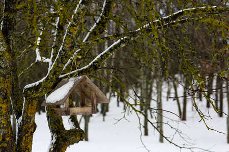 Wooden bird feeder on a tree. Winter Russian landscape. Abandoned Russian village covered in snow. The concept of caring for nature and birds.の写真素材