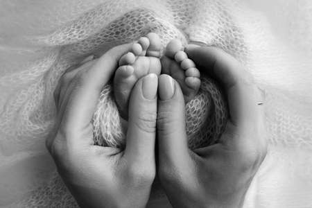 Mother is doing massage on her baby foot. Closeup baby feet in mother hands. Prevention of flat feet, development, muscle tone, dysplasia. Family, love, care, health concepts. Black and white macro.の写真素材