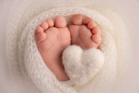 Knitted white heart in the legs of a baby. Soft feet of a new born in a white wool blanket. Close-up of toes, heels and feet of a newborn. Macro photography the tiny foot of a newborn baby.の写真素材