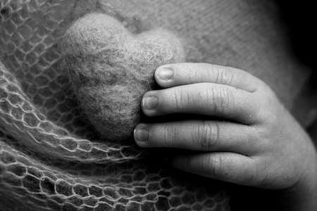 Tiny hand of a newborn. The soft hands of a newborn hold a woolen heart. The fingers of the hands of a newborn close-up. Studio black and white macro photo on the background of blanket.の写真素材