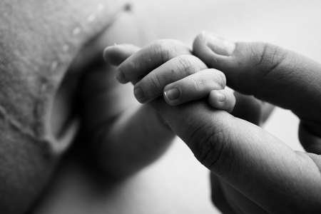 Close-up little hand of child and palm of mother and father. The newborn baby has a firm grip on the parents finger after birth. A newborn holds on to moms, dads finger. Black and white photo.の写真素材