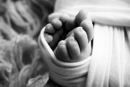 The tiny foot of a newborn. Soft feet of a newborn in a blanket. Close up of toes, heels and feet of...