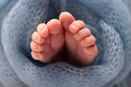 Soft feet of a newborn in a blue woolen blanket. Close-up of toes, heels and feet of a newborn baby.The tiny foot of a newborn. Studio Macro photography. Baby feet covered with isolated background.の写真素材