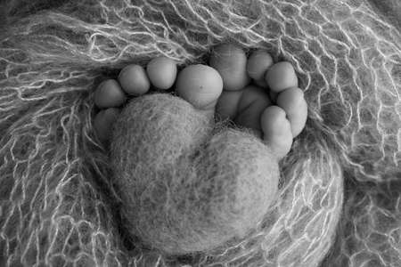 Knitted heart in the legs of a baby. Soft feet of a new born in a wool blanket. Close-up of toes, heels and feet of a newborn. Macro black and white photography the tiny foot of a newborn baby.の写真素材