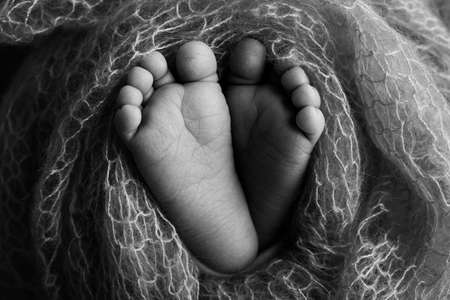 Soft feet of a newborn in a woolen blanket Close-up of toes, heels and feet of a baby.The tiny foot of a newborn. Baby feet covered with isolated background. Black and white studio macro photographyの写真素材