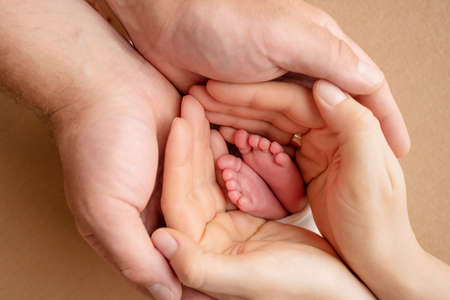 The palms of the parents. A father and mother hold the feet of a newborn child . The feet of a...