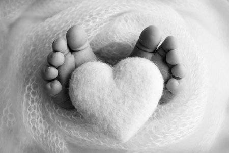 The tiny foot of a newborn baby. Soft feet of a new born in a wool blanket. Close up of toes, heels and feet of a newborn. Knitted heart in the legs of baby. Macro photography. Black and white.の写真素材