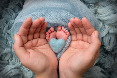 The palms of the father, the mother hold the legs of the newborn. The childs foot on the palms of the parents with a blue knitted heart on the heels.の写真素材