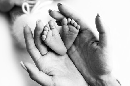 The palms of the parents. A mother hold a newborn baby by the legs. The feet of a newborn in the...