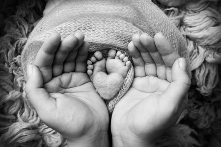 Childrens foot in the hands of mother, father, parents. Feet of a tiny newborn close up. Little baby legs. Mom and her child. Happy family concept. Black and white image of motherhood stock photo.の写真素材